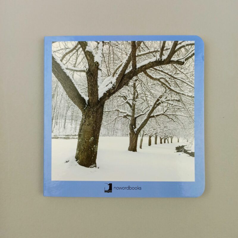 Invierno / Winter / Hiver