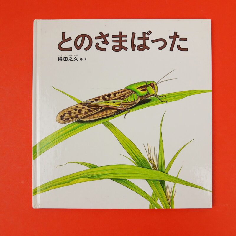 A locast [albo illustrato giapponese]