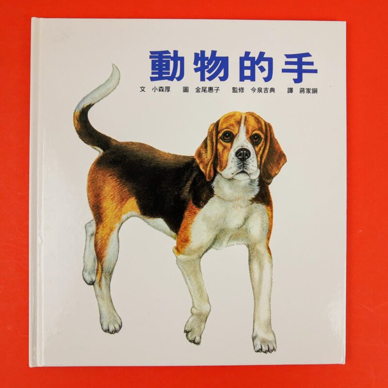 Mercato giungla – giapponese 25