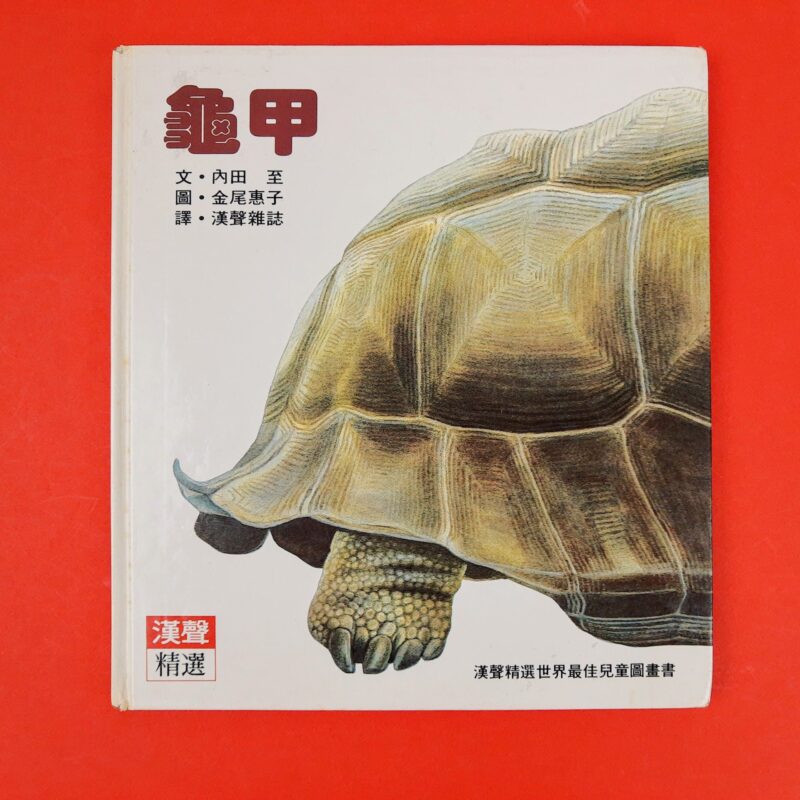 Mercato giungla – cinese 14