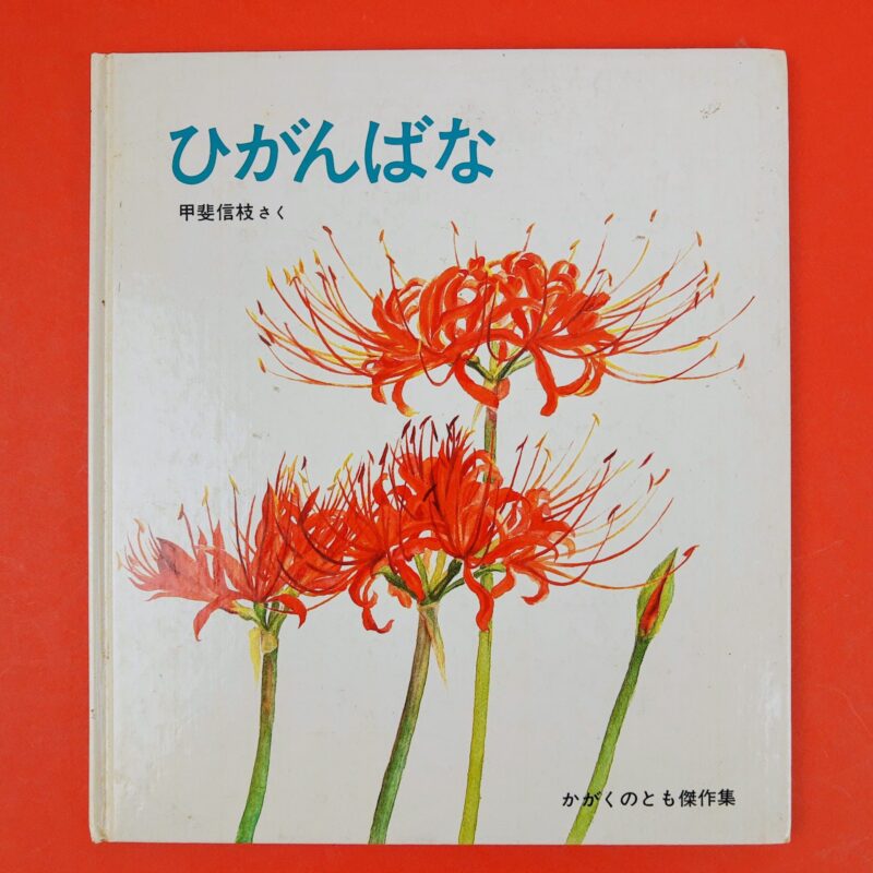 Mercato giungla – giapponese 30