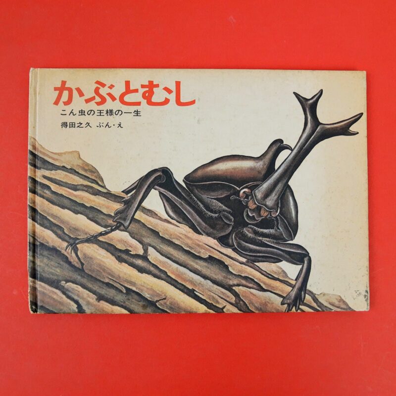 Mercato giungla – giapponese 8