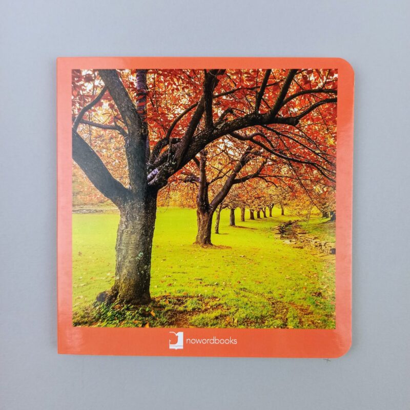 Otoño  / Automne / Herbst