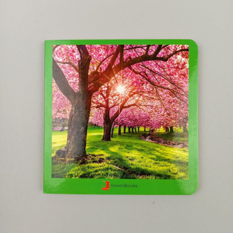 Primavera / Spring/ Printemps