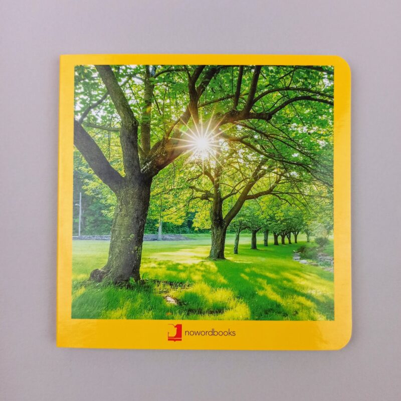 Verano / Summer / Eté