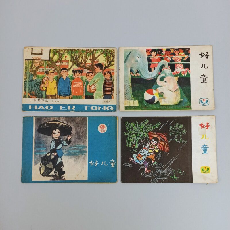 Mercato giungla – cinese taiwanese 5