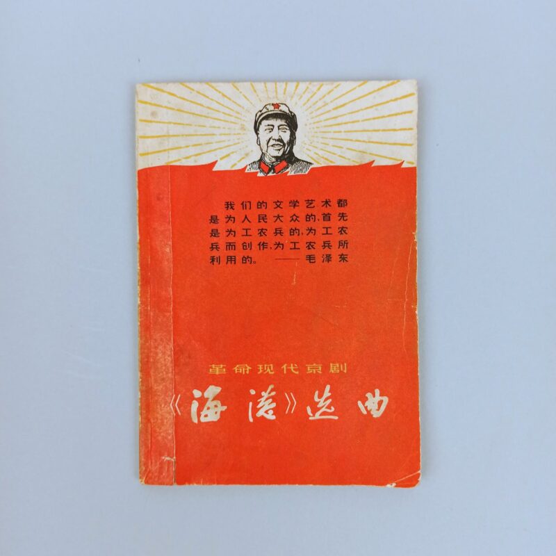 Mercato giungla – cinese taiwanese 3