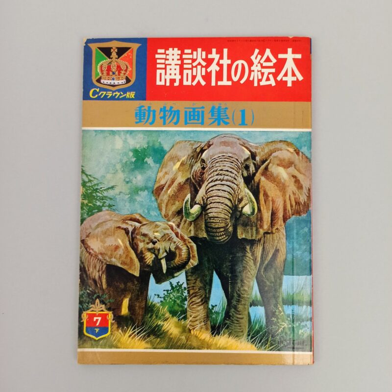 Mercato giungla – giapponese 45