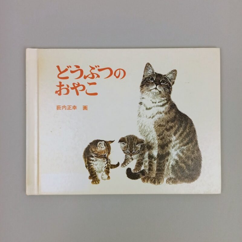 Mercato giungla – giapponese 37