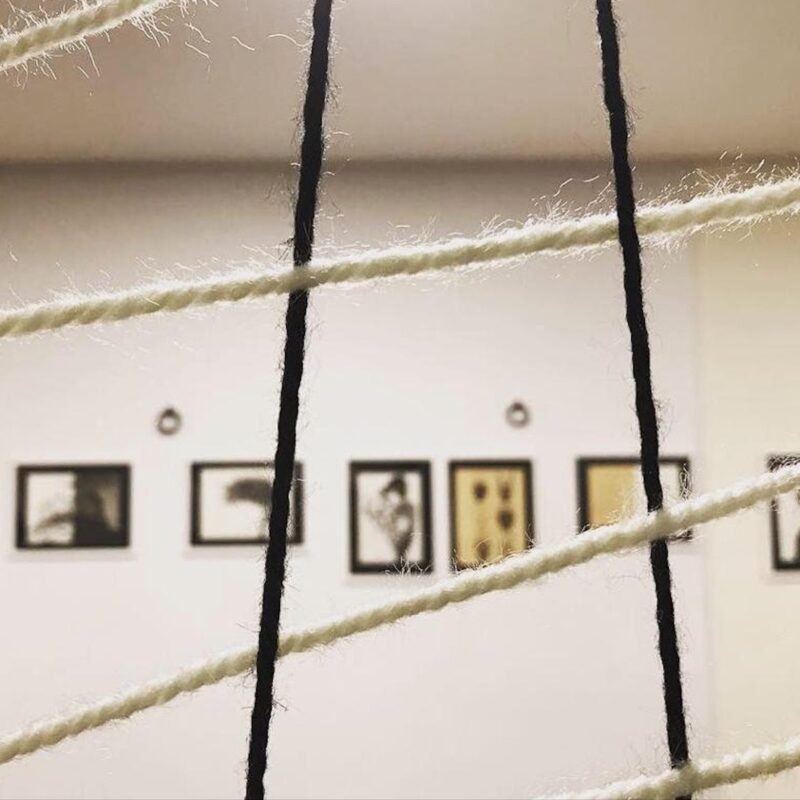 UN’AVVENTURA PER IMPARARE A GUARDARE