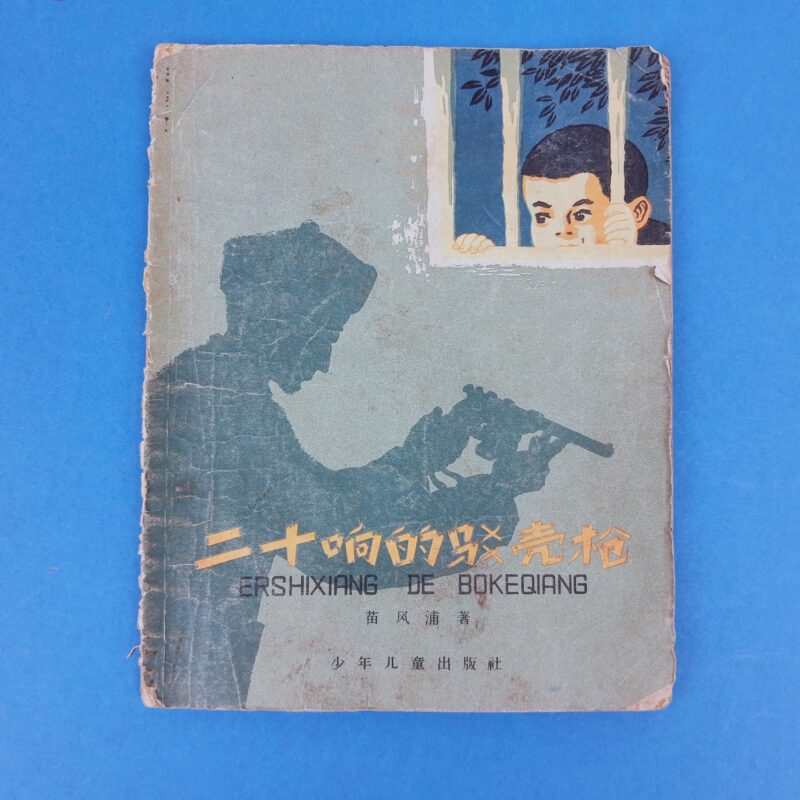 Mercato giungla – cinese taiwanese 11