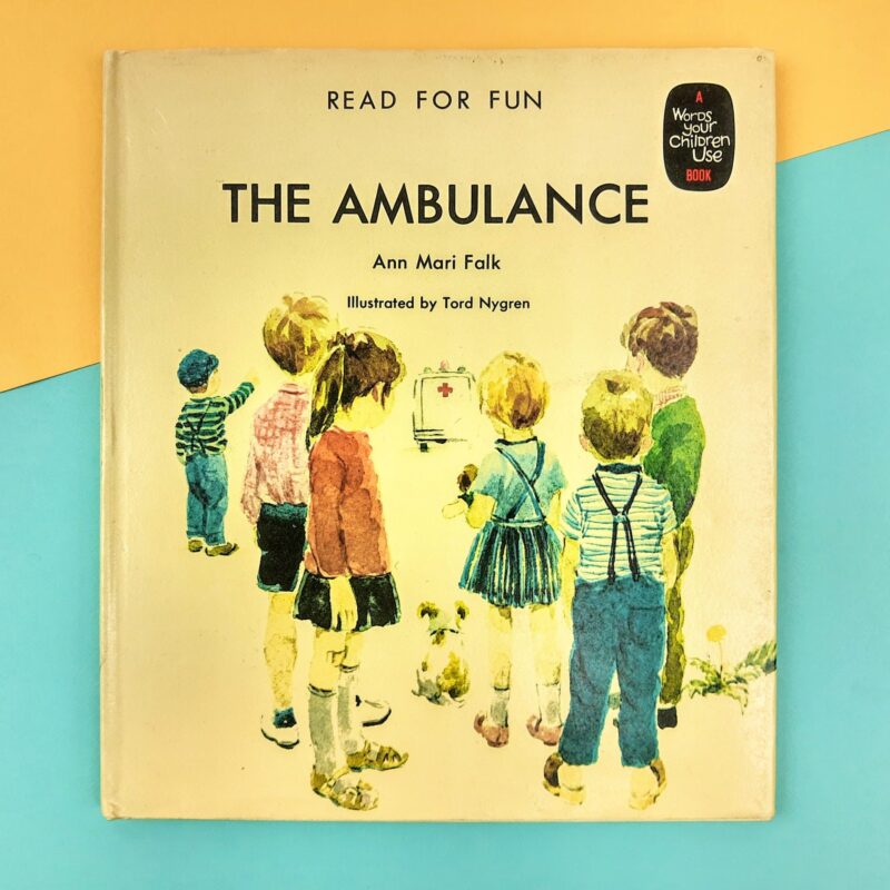 Mercato giungla – inglese 16