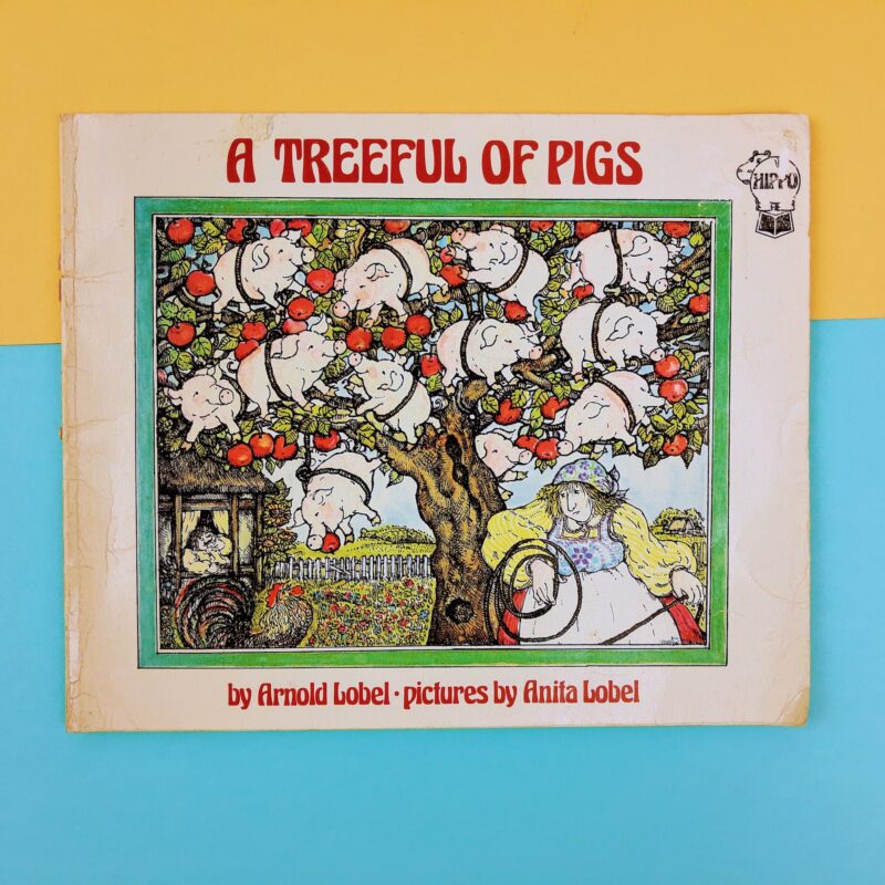 Mercato giungla – inglese 4