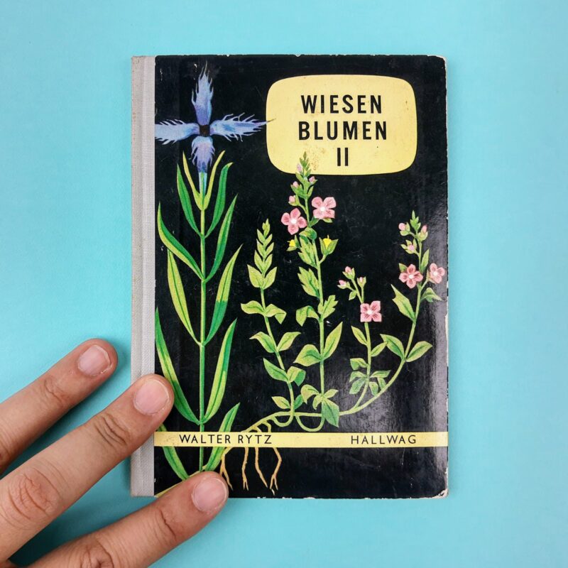 Mercato giungla – tedesco 2