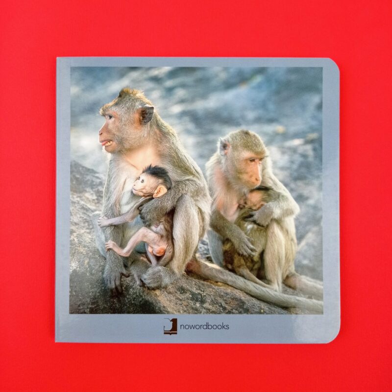 Animales en familia 2