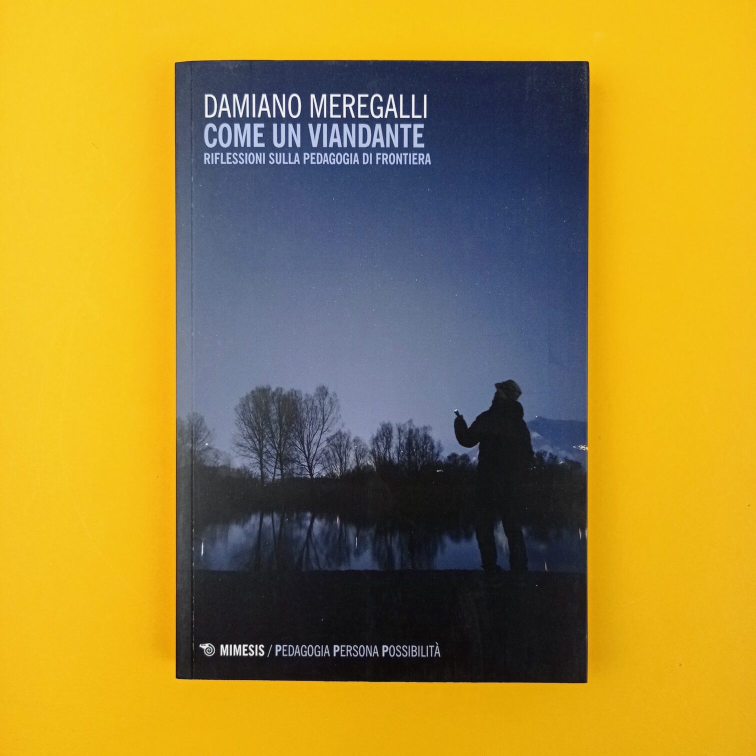 Come un viandante