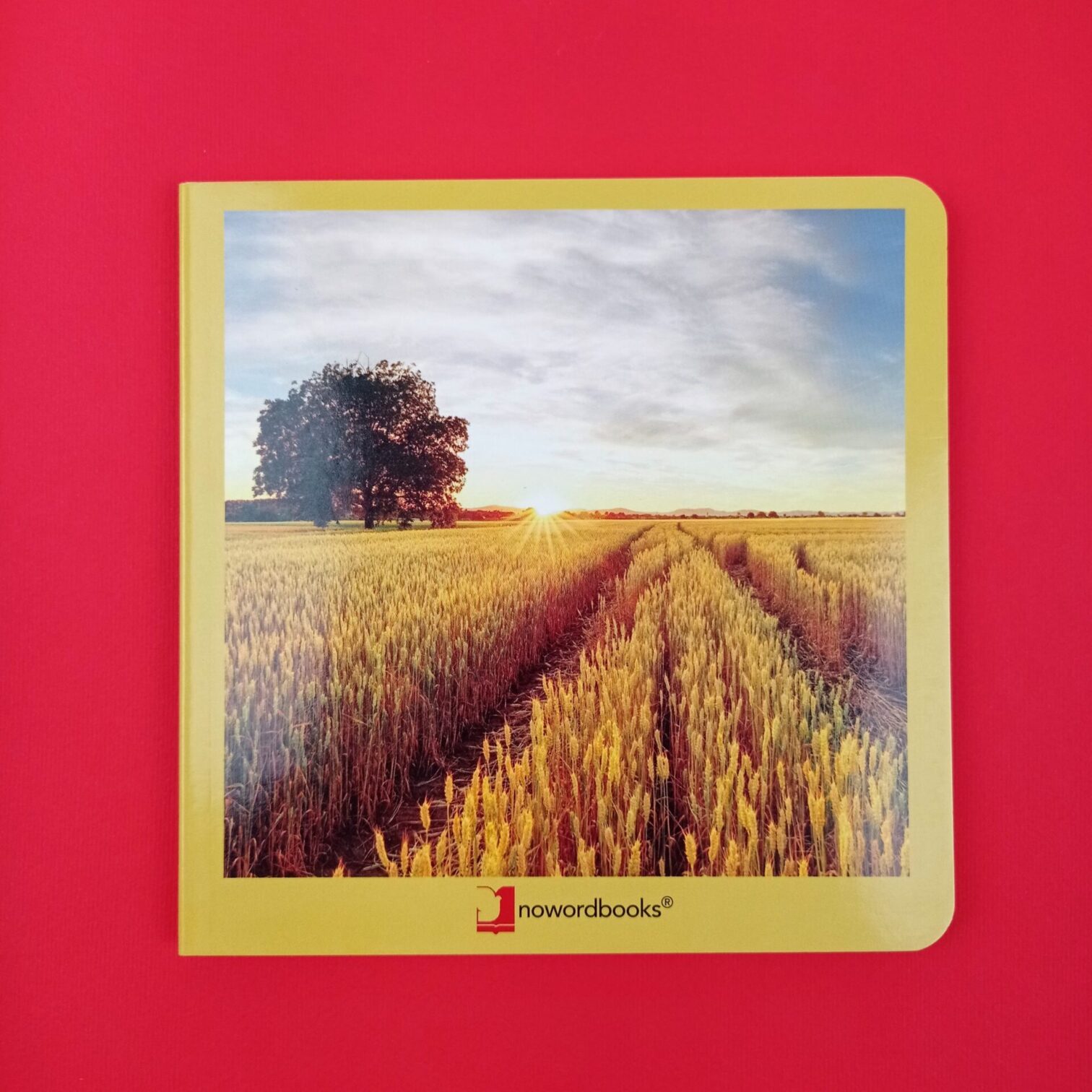 El campo