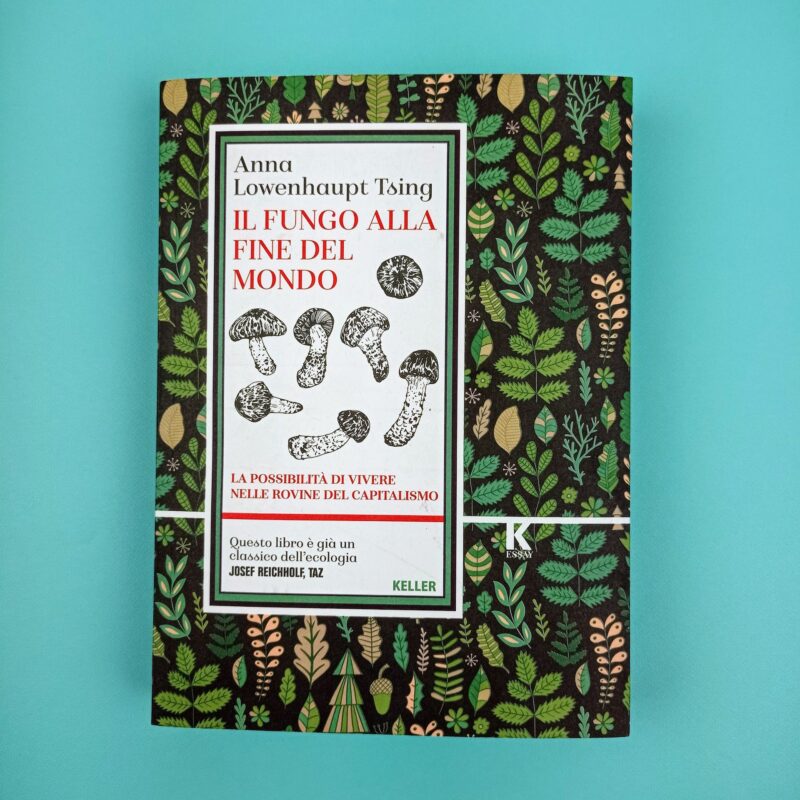 Il fungo alla fine del mondo