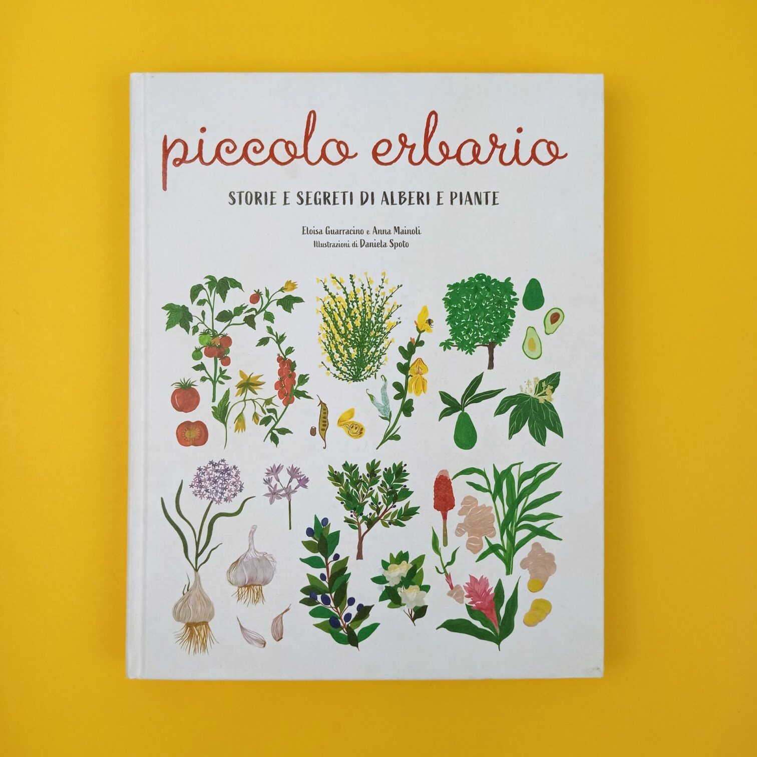 Piccolo erbario