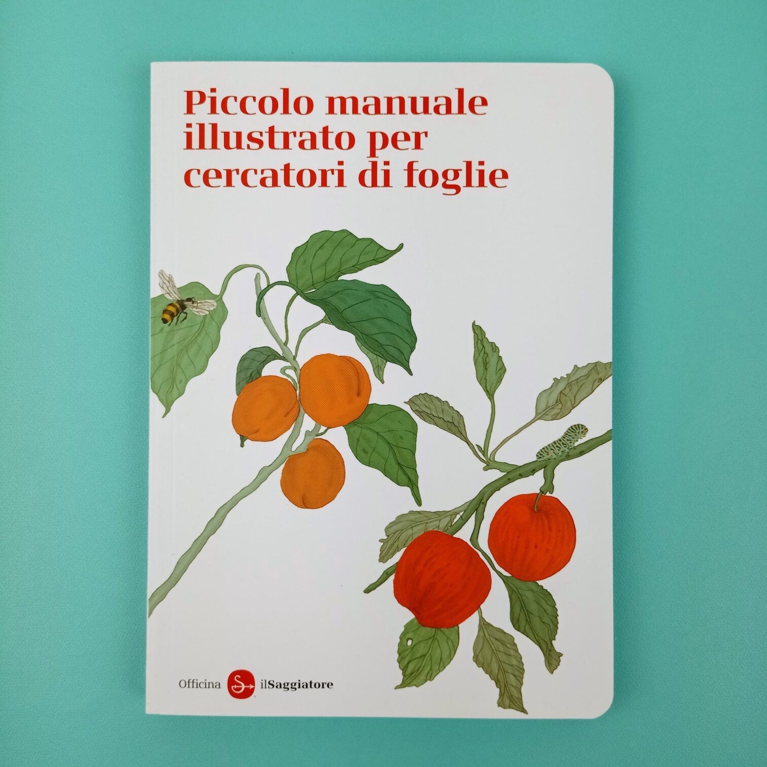 Piccolo manuale illustrato per cercatori di foglie