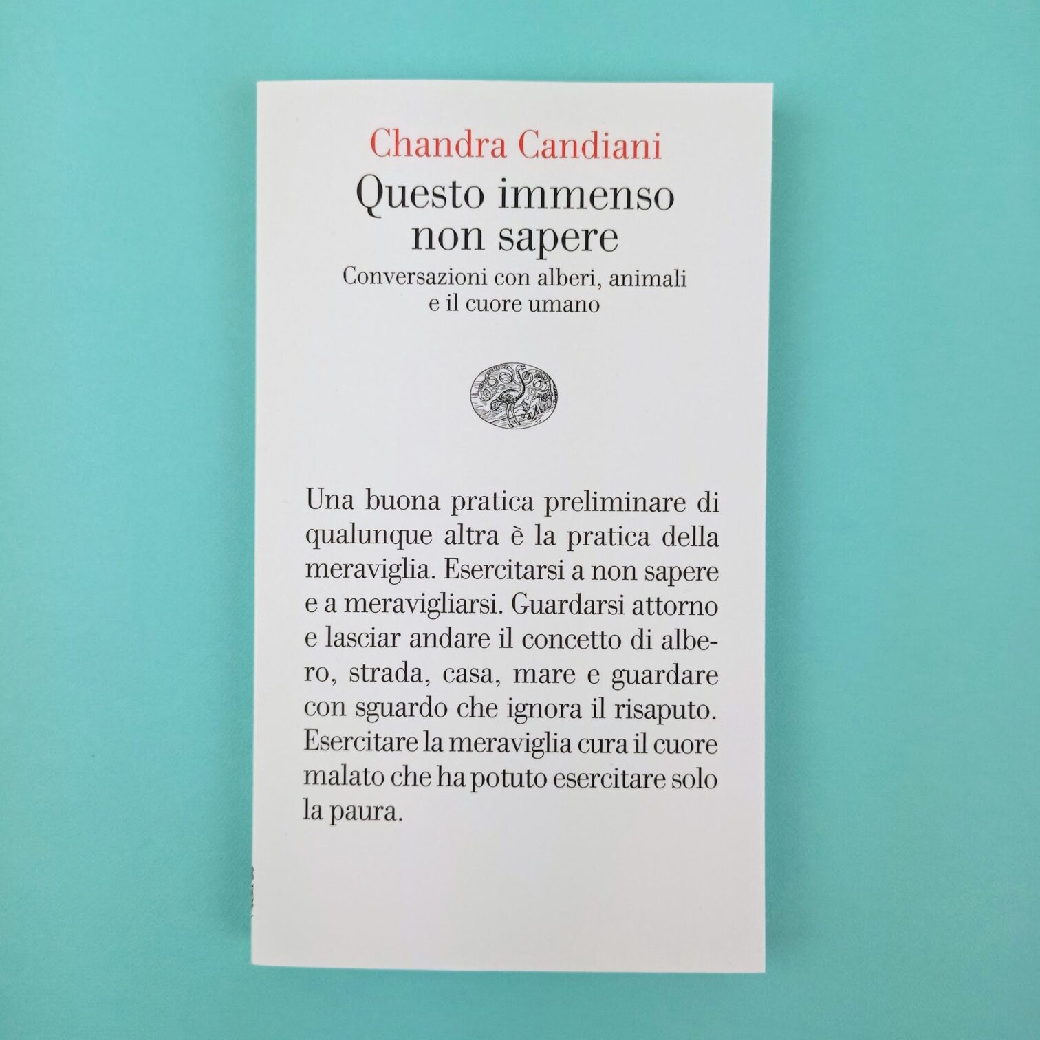 Questo immenso non sapere