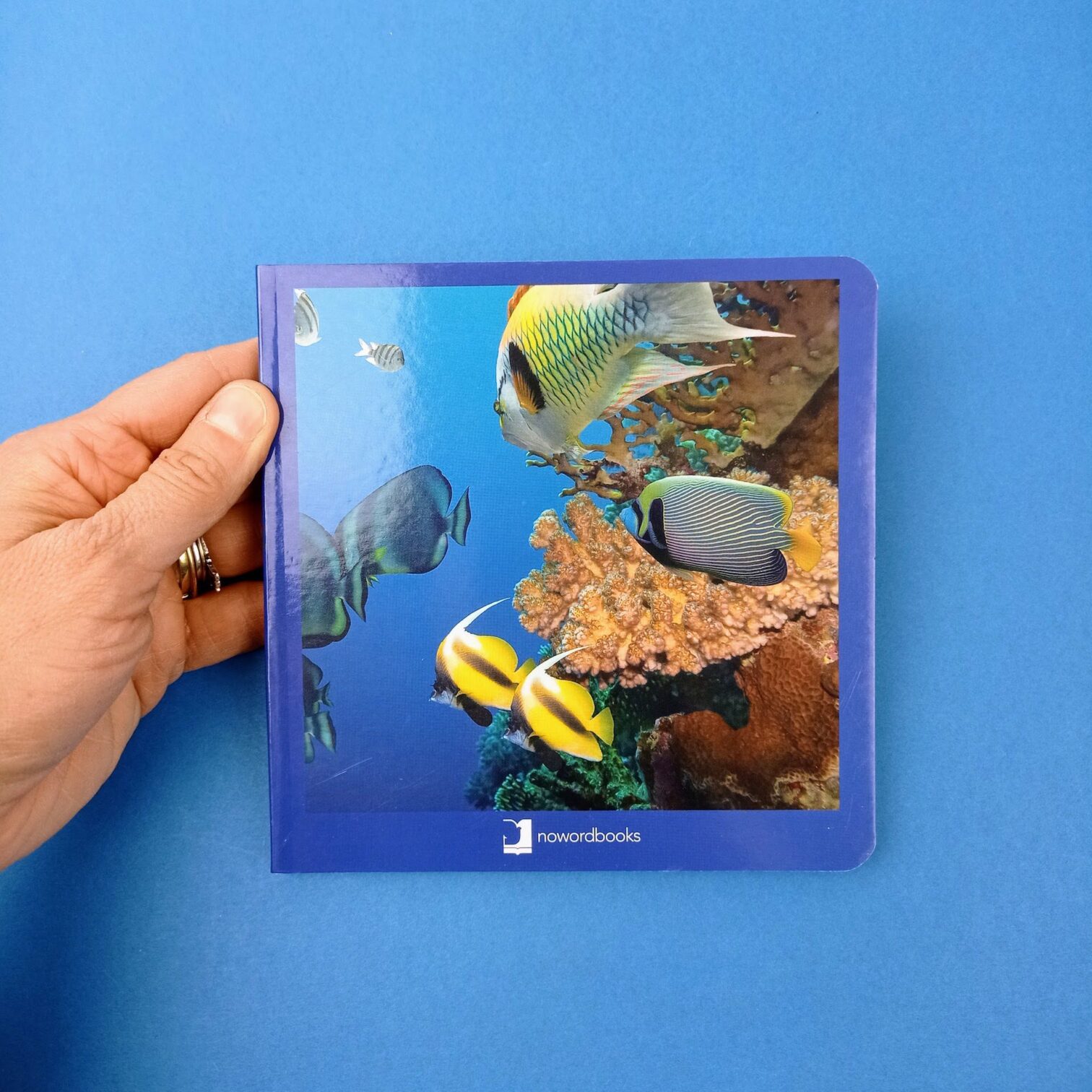 Animales marinos