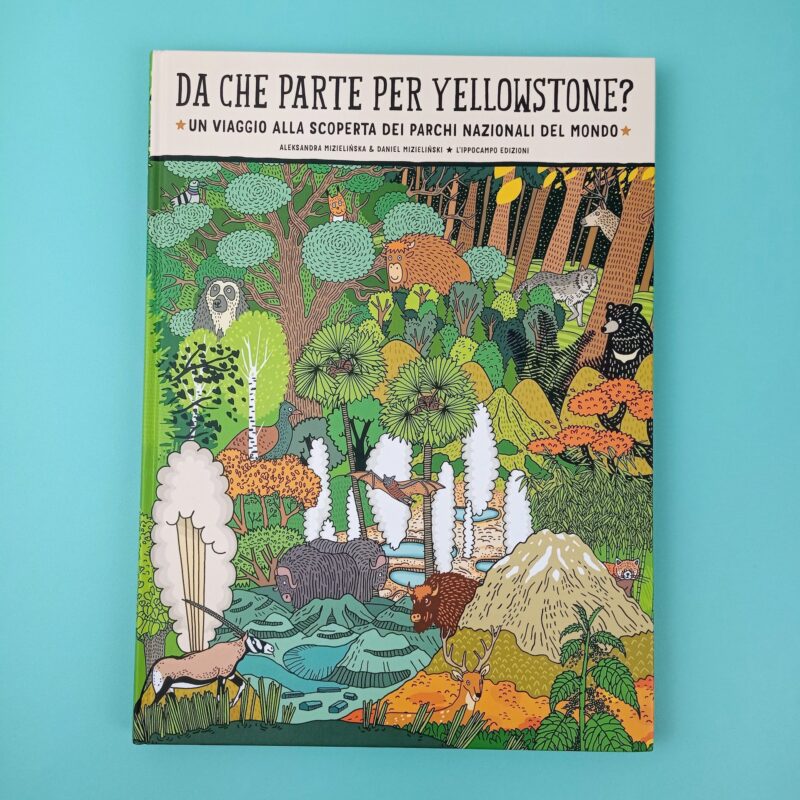 Da che parte per Yellowstone?