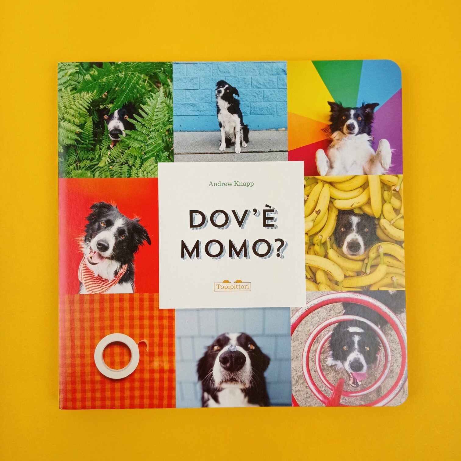 Dov’è Momo?