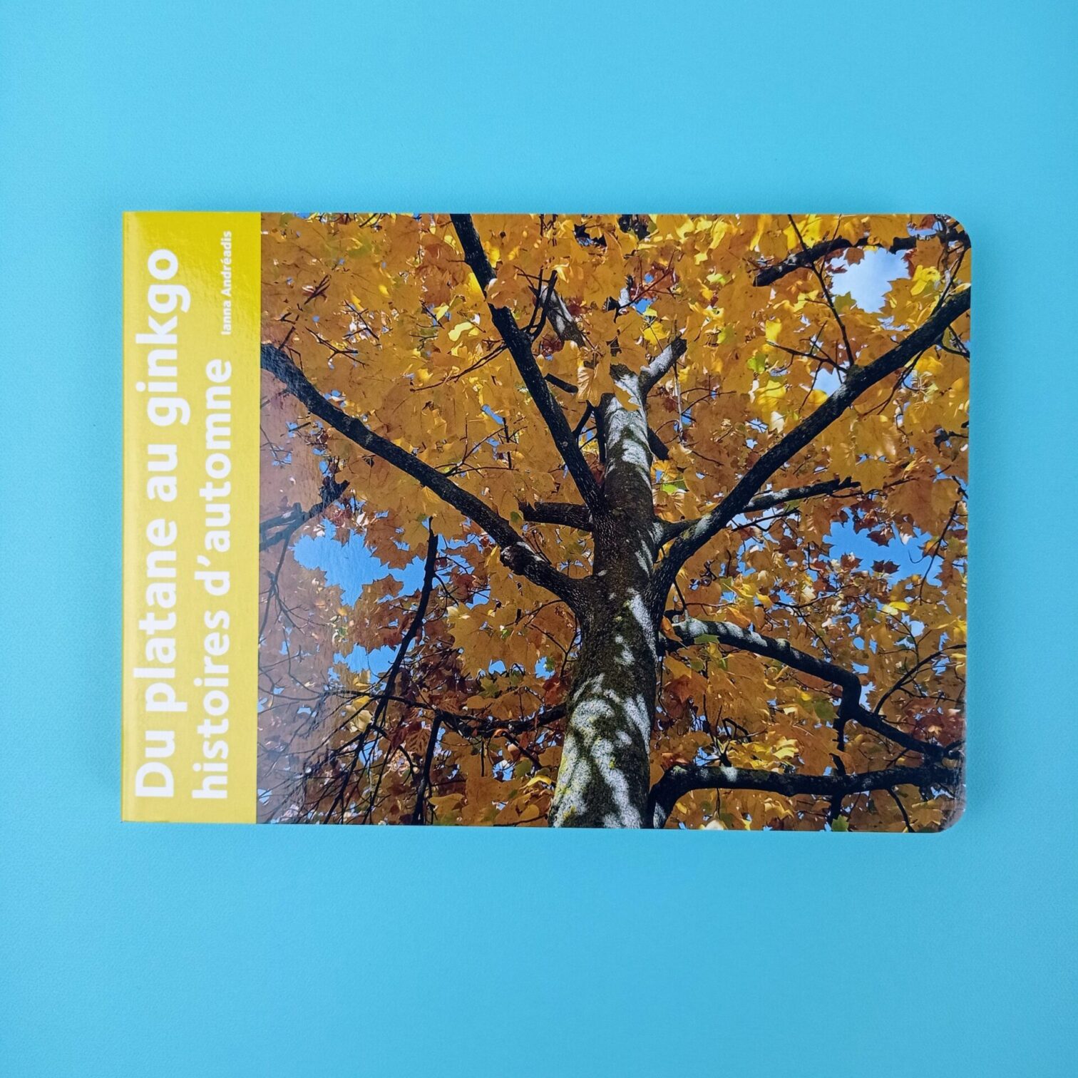 Du platane au ginko
