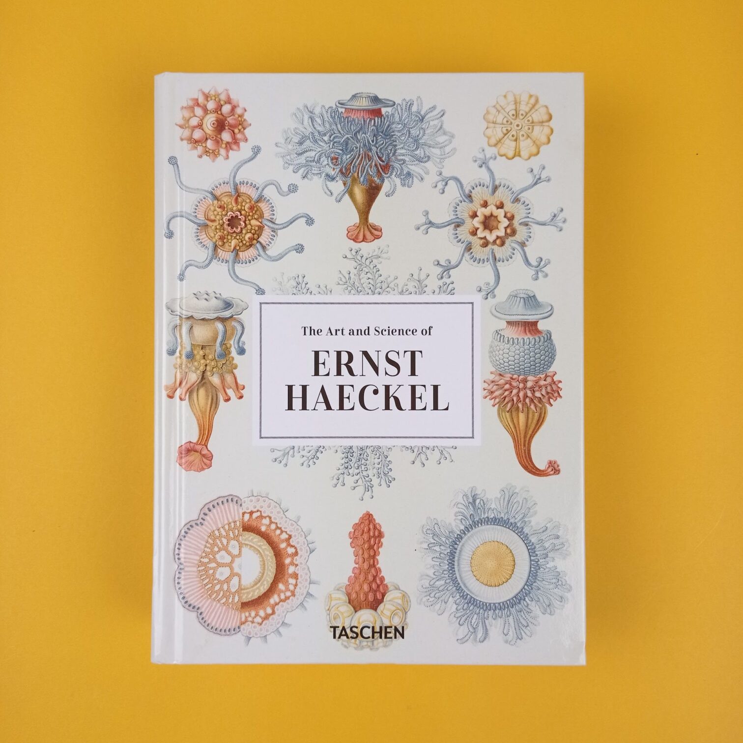 The art and science of Ernst Haeckel