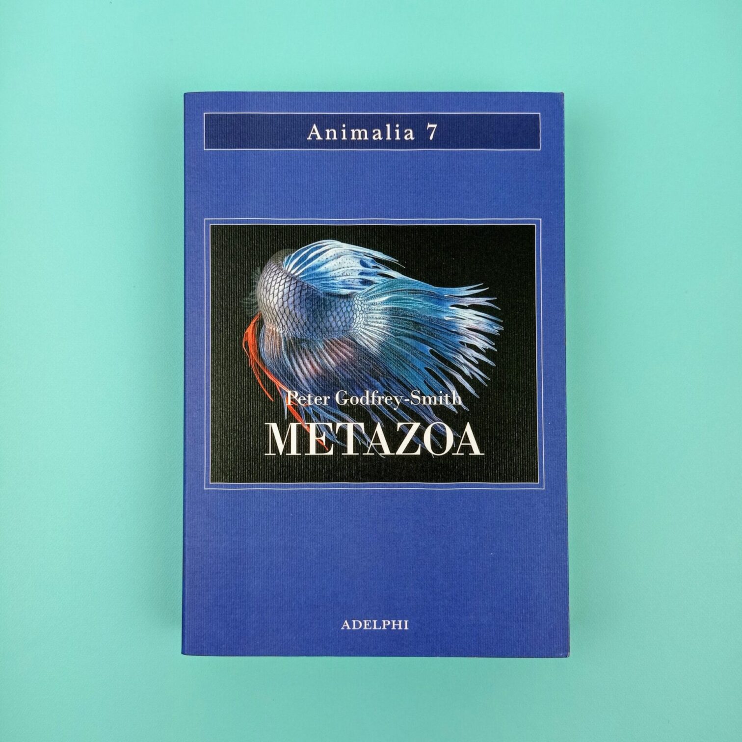 Metazoa