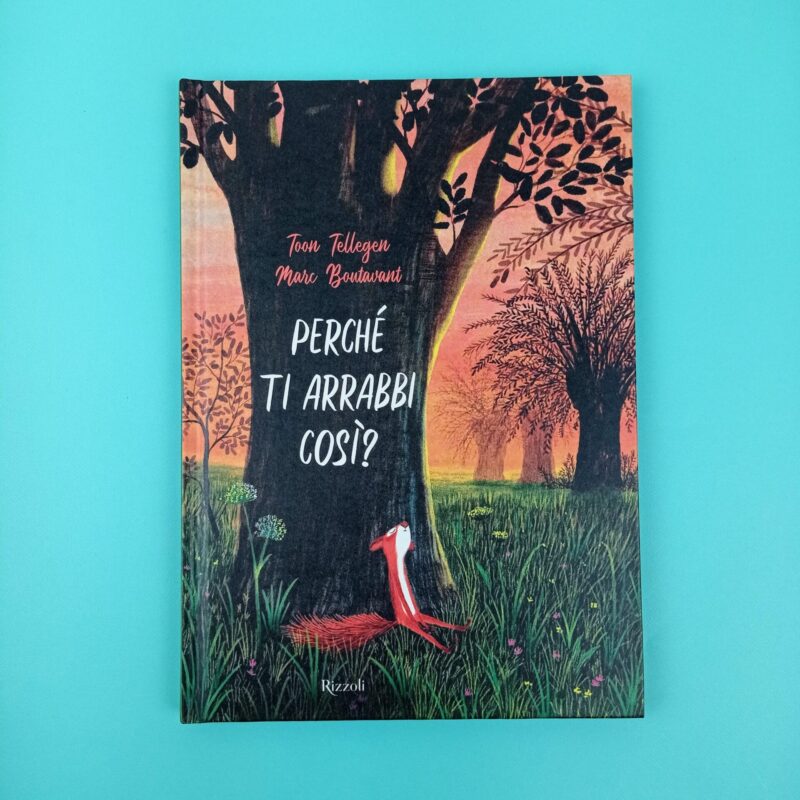 Perché ti arrabbi così?