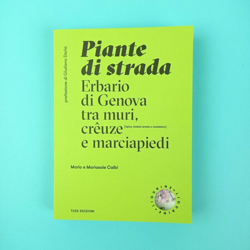 Piante di strada