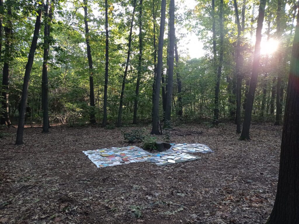 “Il libro nella giungla” nel bosco al Parco Alto Milanese