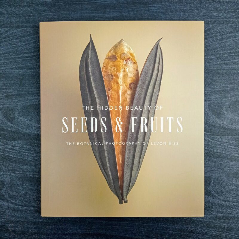 Hidden beauty of seeds and fruits