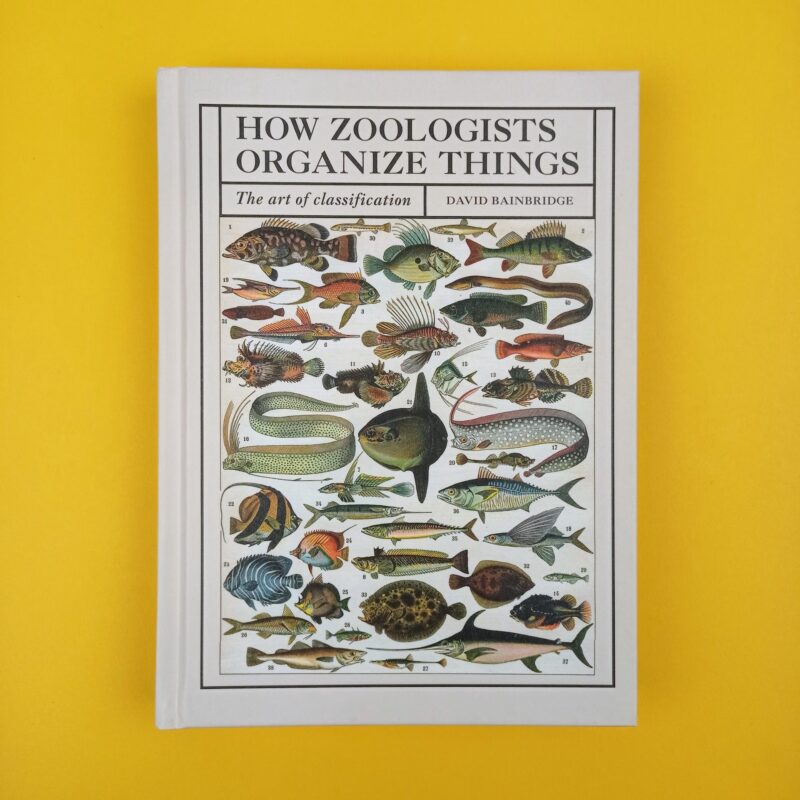 How zoologists organize things