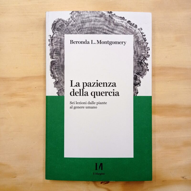 La pazienza della quercia