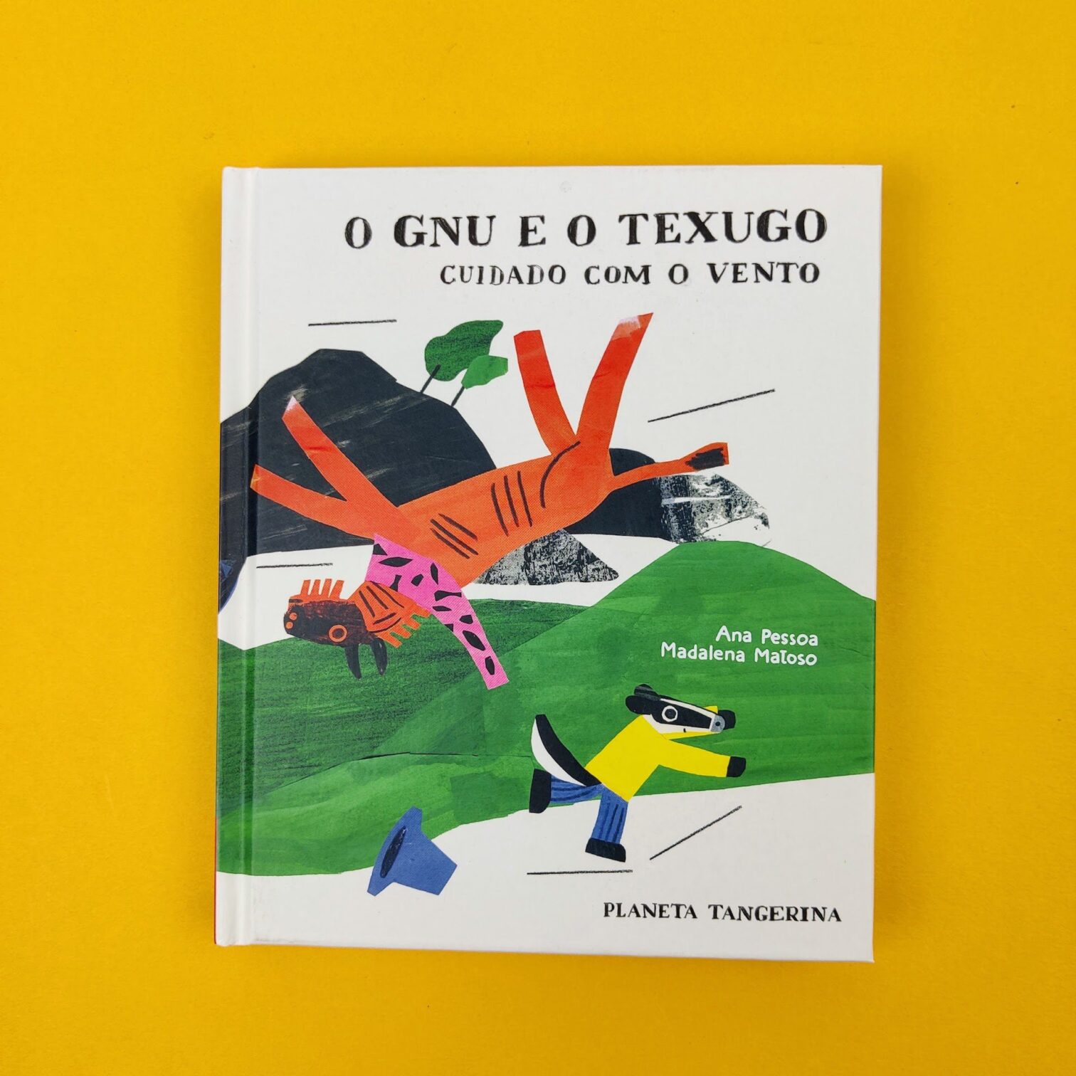 O gnu e o texugo. Cuidado com o vento
