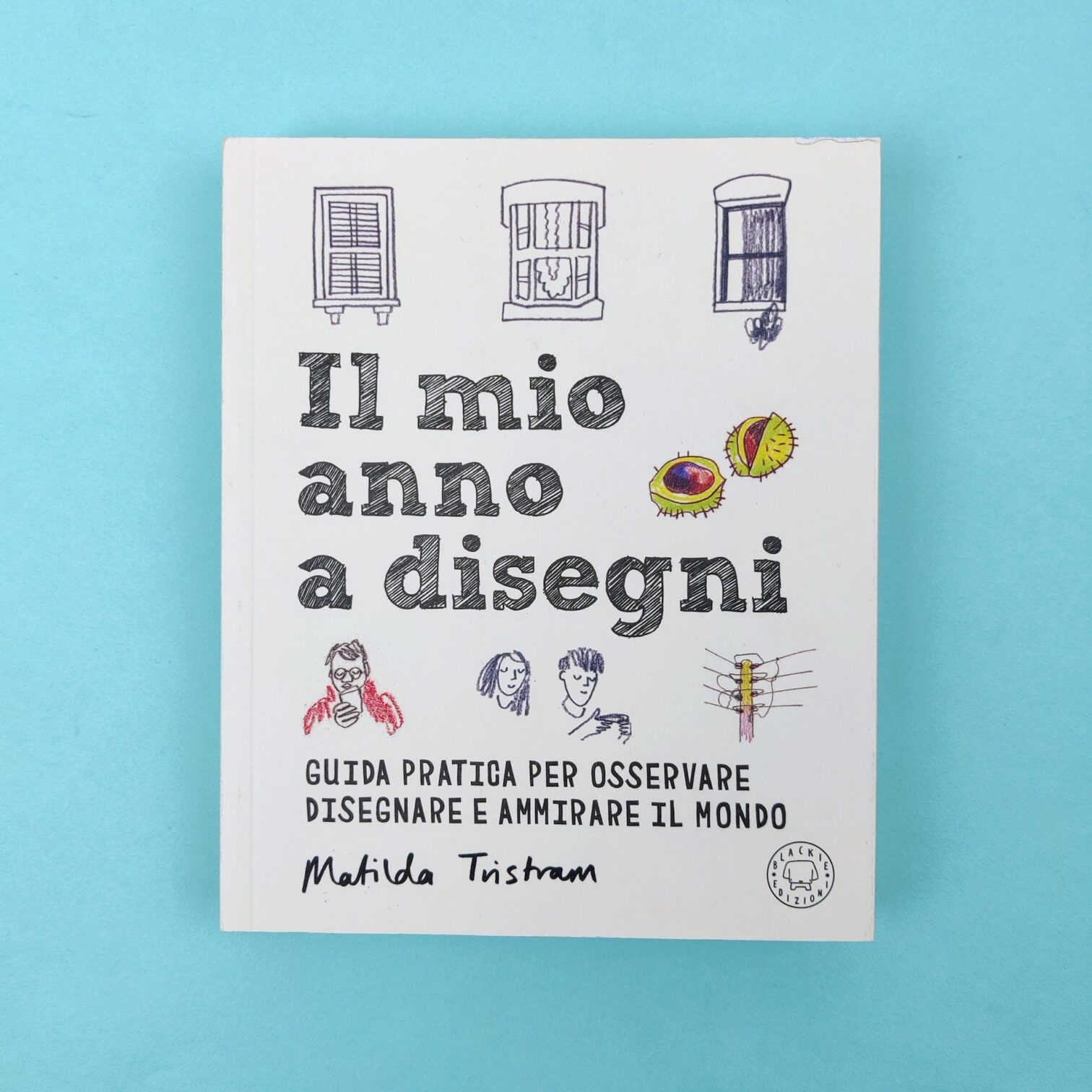 Il mio anno a disegni