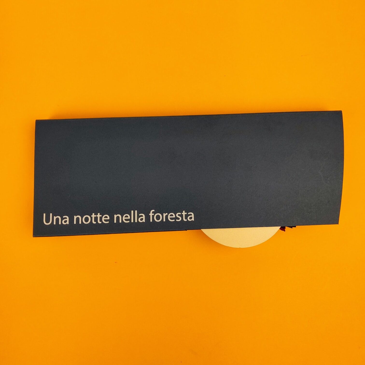 Una notte nella foresta