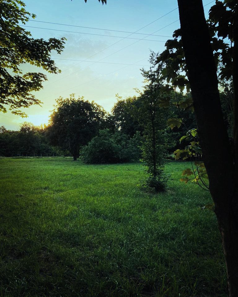 “Il libro nella giungla” nel bosco alla Tana dei Curiosi di Cassano Magnago