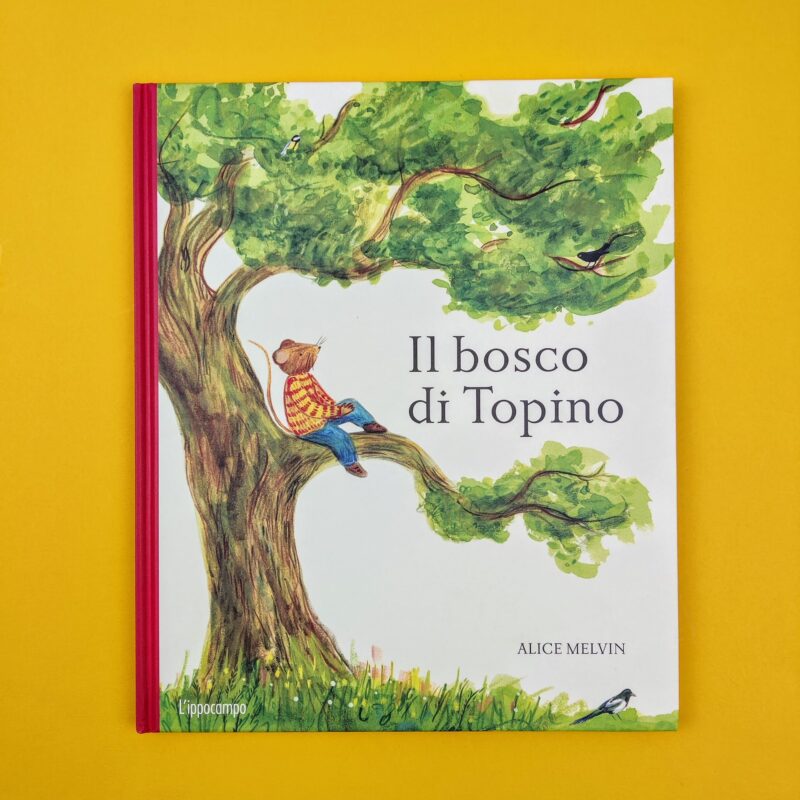 Il bosco di Topino