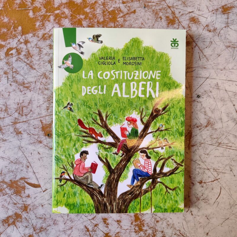 La costituzione degli alberi