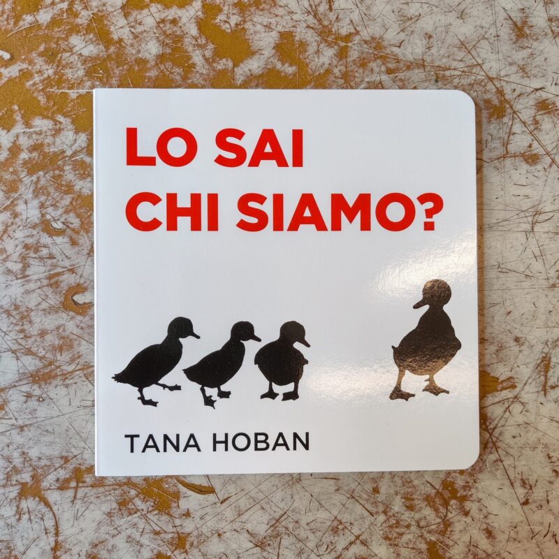 Lo sai chi siamo?