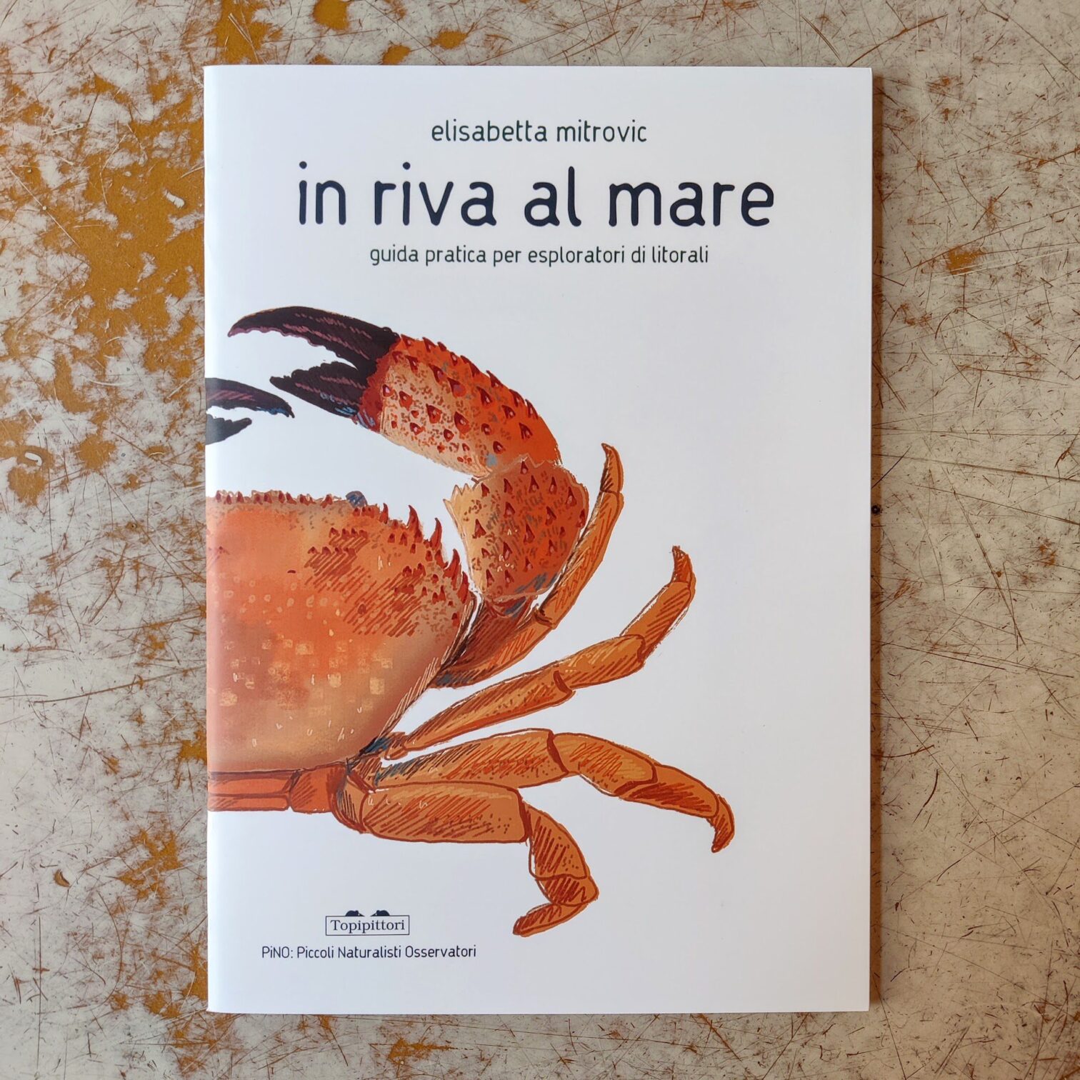 In riva al mare