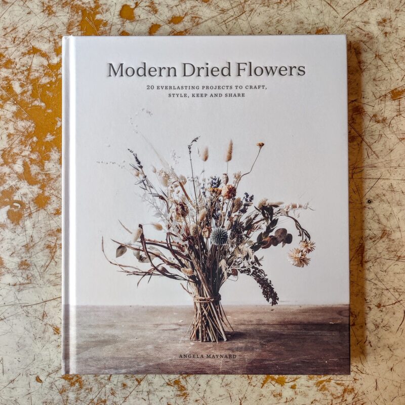 Modern dried flowers