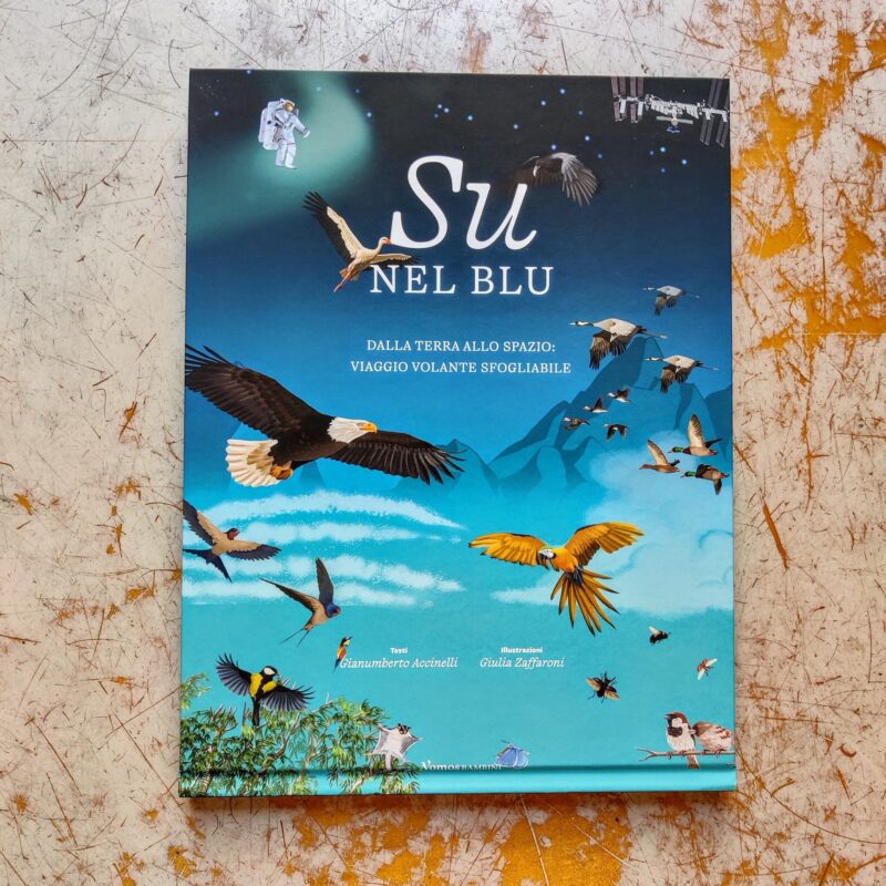 Su nel blu