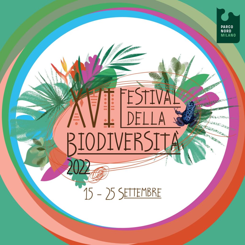 Il libro nella giungla