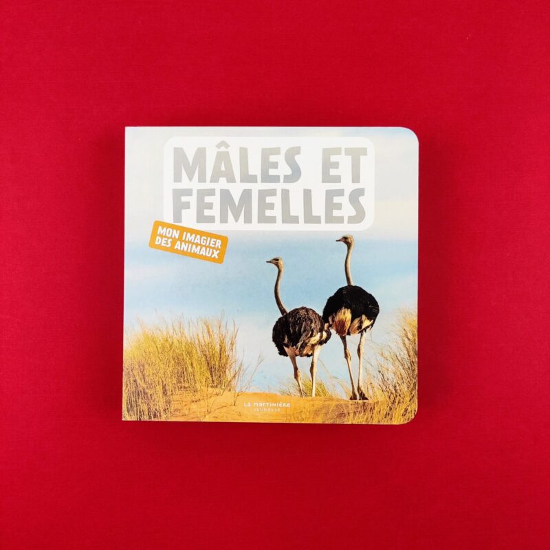 Mâles et femelles