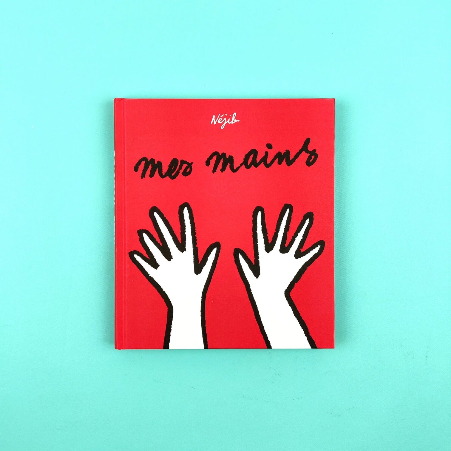 Mes mains